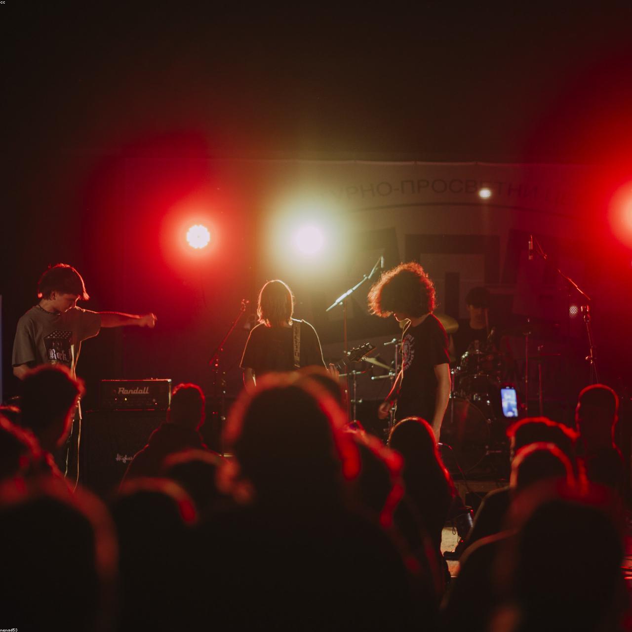 Public la un eveniment live, noaptea